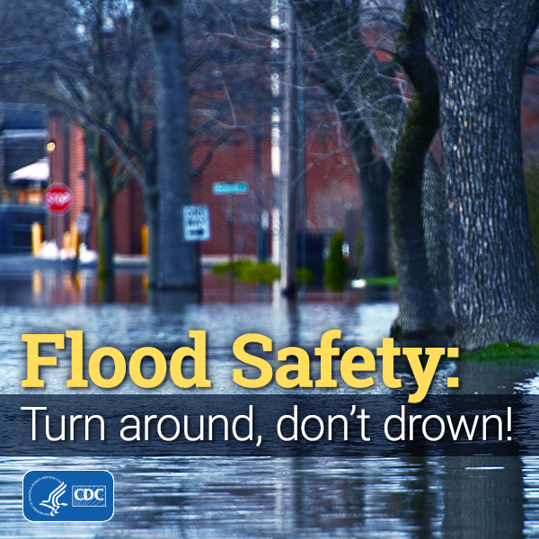 flood safety: turn around, don't drown